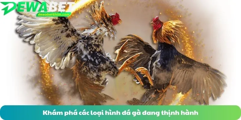 Khám phá các loại hình đá gà trực tuyến đang thịnh hành