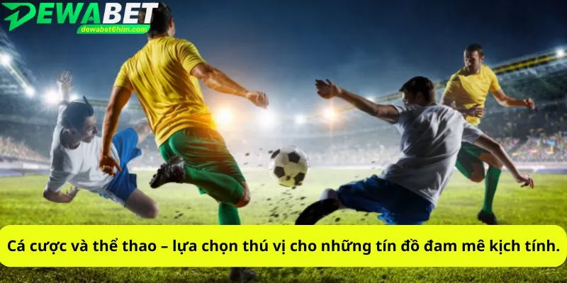Cá cược và thể thao – lựa chọn thú vị cho những tín đồ đam mê kịch tính